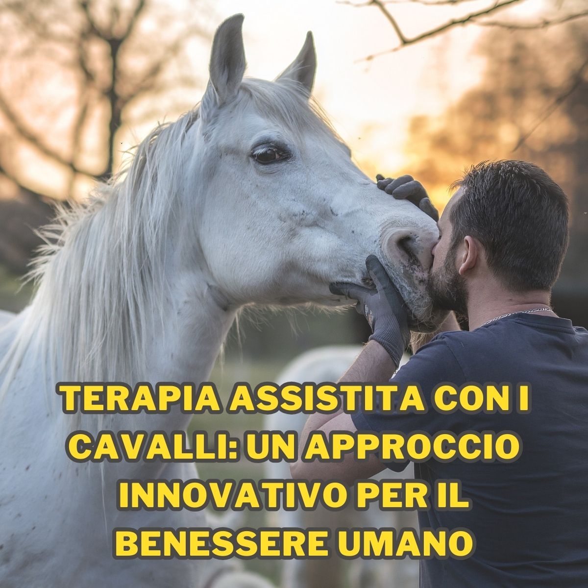 Scopri di più sull'articolo Terapia assistita con i cavalli