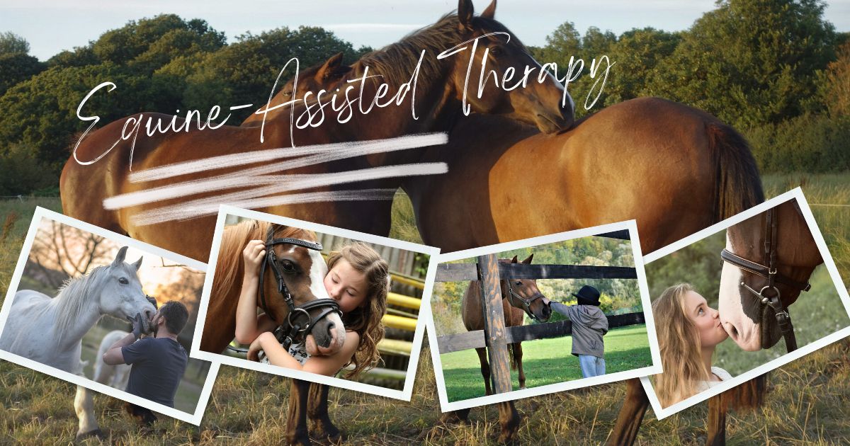 Al momento stai visualizzando La magia della terapia con i cavalli