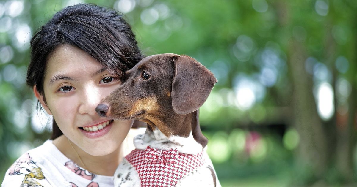 Consigli pratici per integrare gli animali nella vita quotidiana